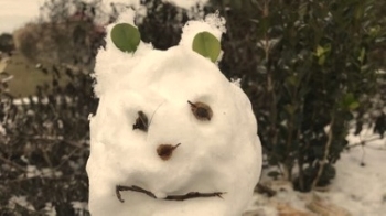 Snowman made during the surprise winter storm.
