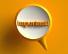 Pin with the word important on it.
